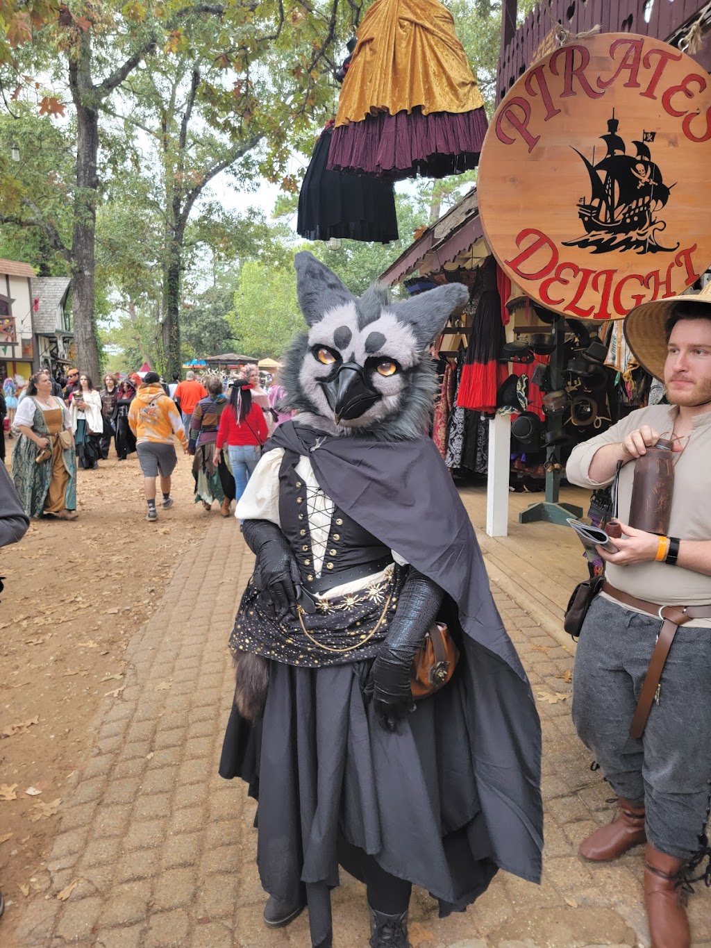 Texas Renaissance Festival Main Entrance | 21997 FM 1774, Todd Mission, TX 77363, USA | Phone: (800) 458-3435