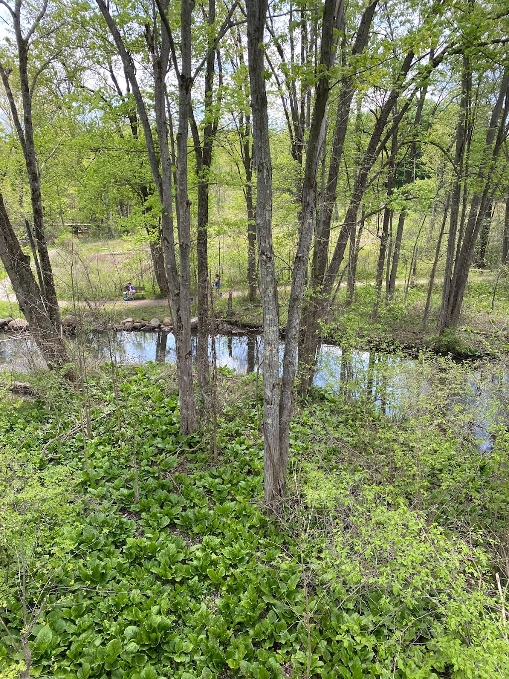 Stony Creek Metropark Nature Center | 4300 Main Park Road, Shelby Township, MI 48316, USA | Phone: (586) 781-4242