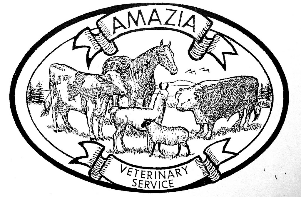 Amazia Veterinary Service | 12303 NE 154th St, Brush Prairie, WA 98606, USA | Phone: (360) 892-7524
