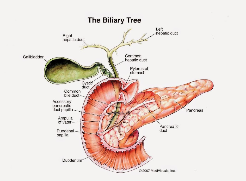 AZ TRANSPLANT ASSOCIATES | 2218 N 3rd St Ac, Phoenix, AZ 85004, USA | Phone: (602) 252-2543