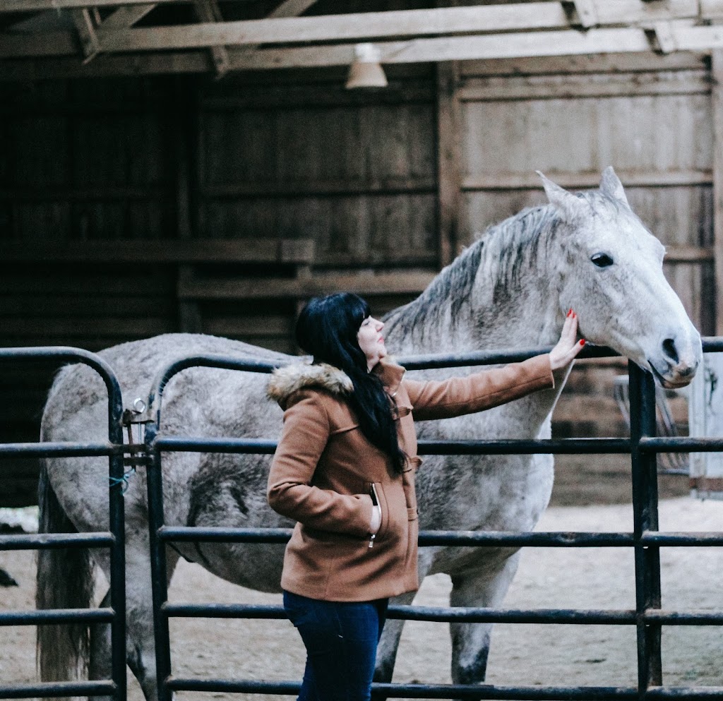 Equine Therapeutic Interaction and Reiki | The Sanctuary at Wild Rose Acres, Morgan Center Rd, Mt Vernon, OH 43050, USA | Phone: (740) 507-7718