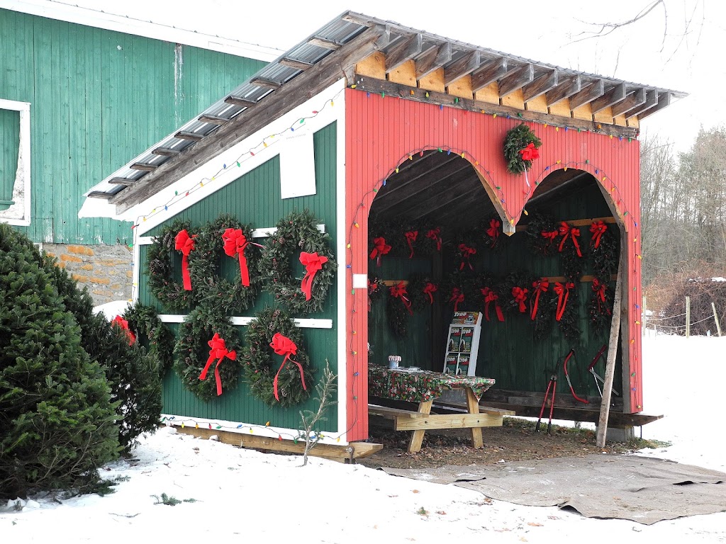 Kringle Christmas Tree Farm | 9298 NY-46, Westernville, NY 13486, USA | Phone: (315) 827-4534