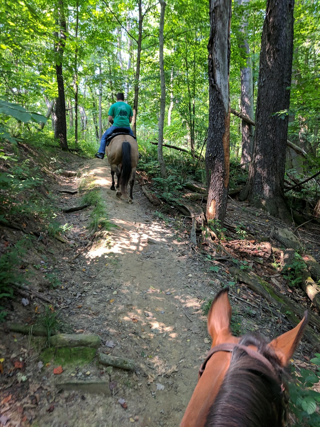 Riding Run Conservation Area | Peninsula, OH 44264, USA | Phone: (330) 865-8060