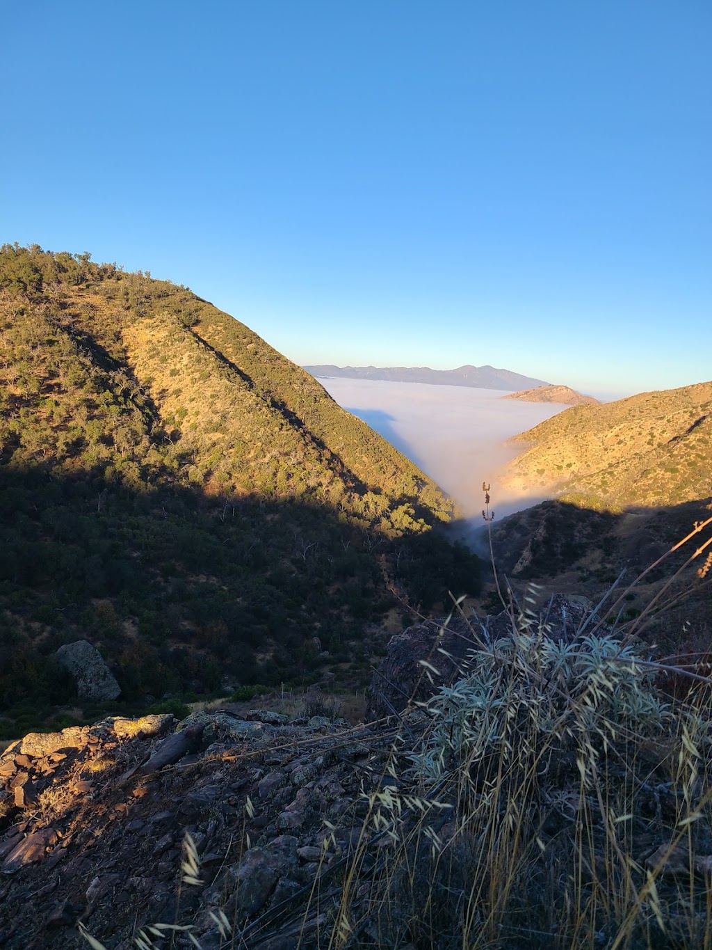 Upper Oso Trailhead | Camuesa Canyon Rd Upper Oso CG, Paradise Rd, Santa Barbara, CA 93105, USA | Phone: (805) 967-3481