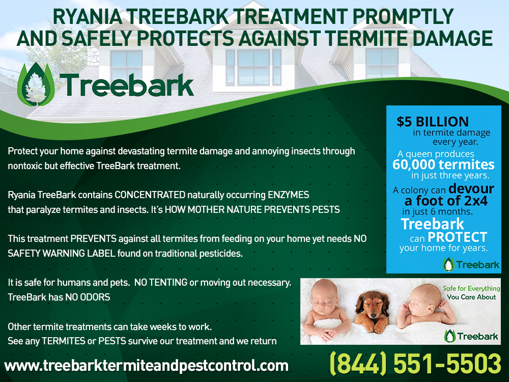 Treebark Termite and Pest Control | 64 Mapleton, Irvine, CA 92620 | Phone: (949) 329-3305