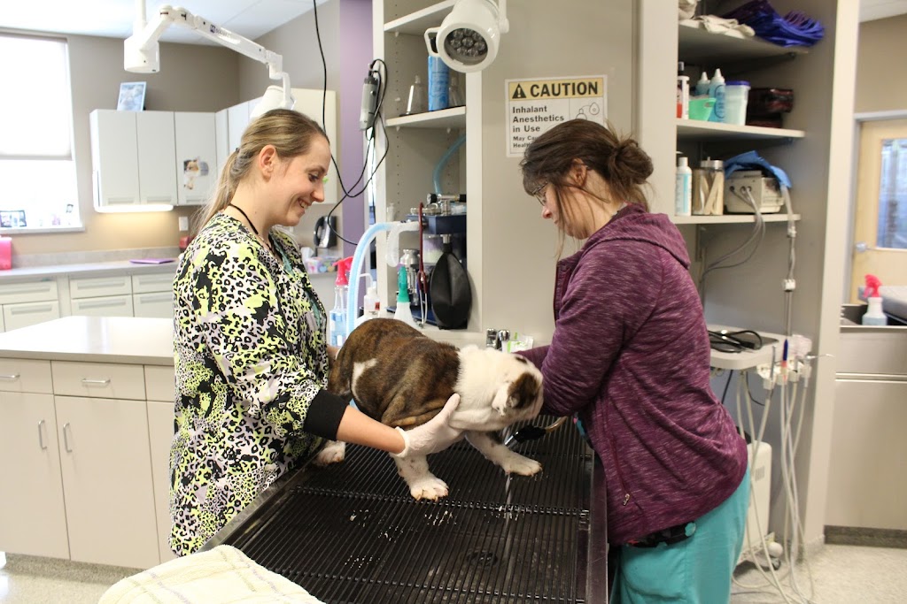 Memorial Animal Hospital | 2222 OH-59, Kent, OH 44240 | Phone: (330) 678-2770