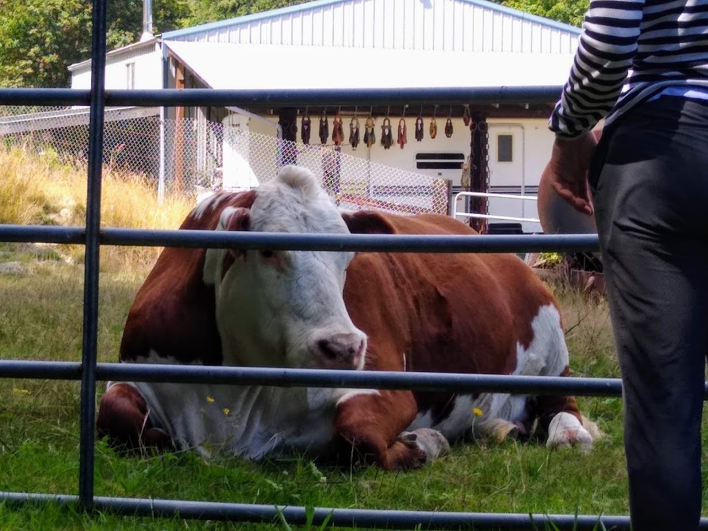 Olde Glencove Hotel | 9418 Glencove Rd NW, Gig Harbor, WA 98329, USA | Phone: (253) 884-2835