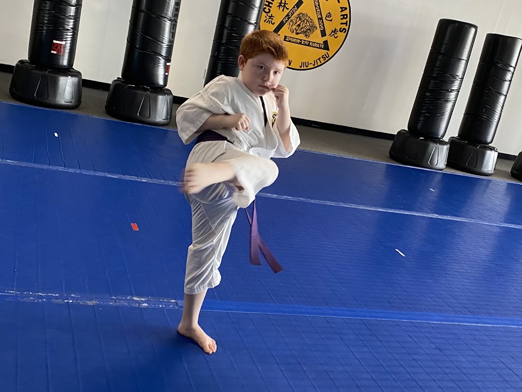 Cheeseman Martial Arts Brazilian Jiu Jitsu | 4126 W Mercury Blvd, Hampton, VA 23666, USA | Phone: (757) 825-6013