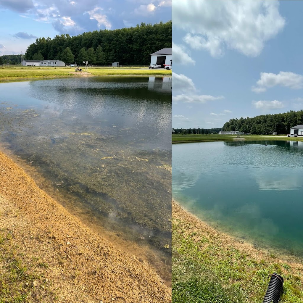 Bellus Aquatic Solutions | 9466 Moody Rd, Moores Hill, IN 47032, USA | Phone: (513) 283-3205