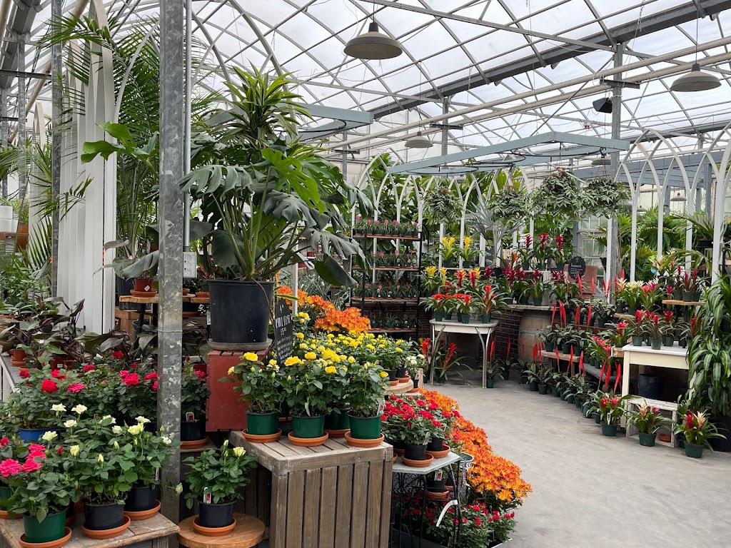 The Watering Can Flower Market | 3711 King St, Vineland, ON L0R 2C0, Canada | Phone: (905) 562-0088