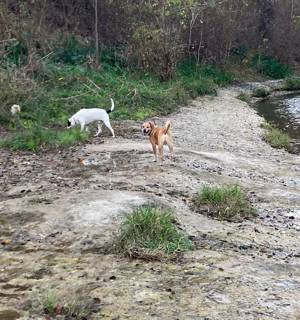 Brushy Creek Dog Park | 200 Co Rd 197, Hutto, TX 78634 | Phone: (512) 759-2275