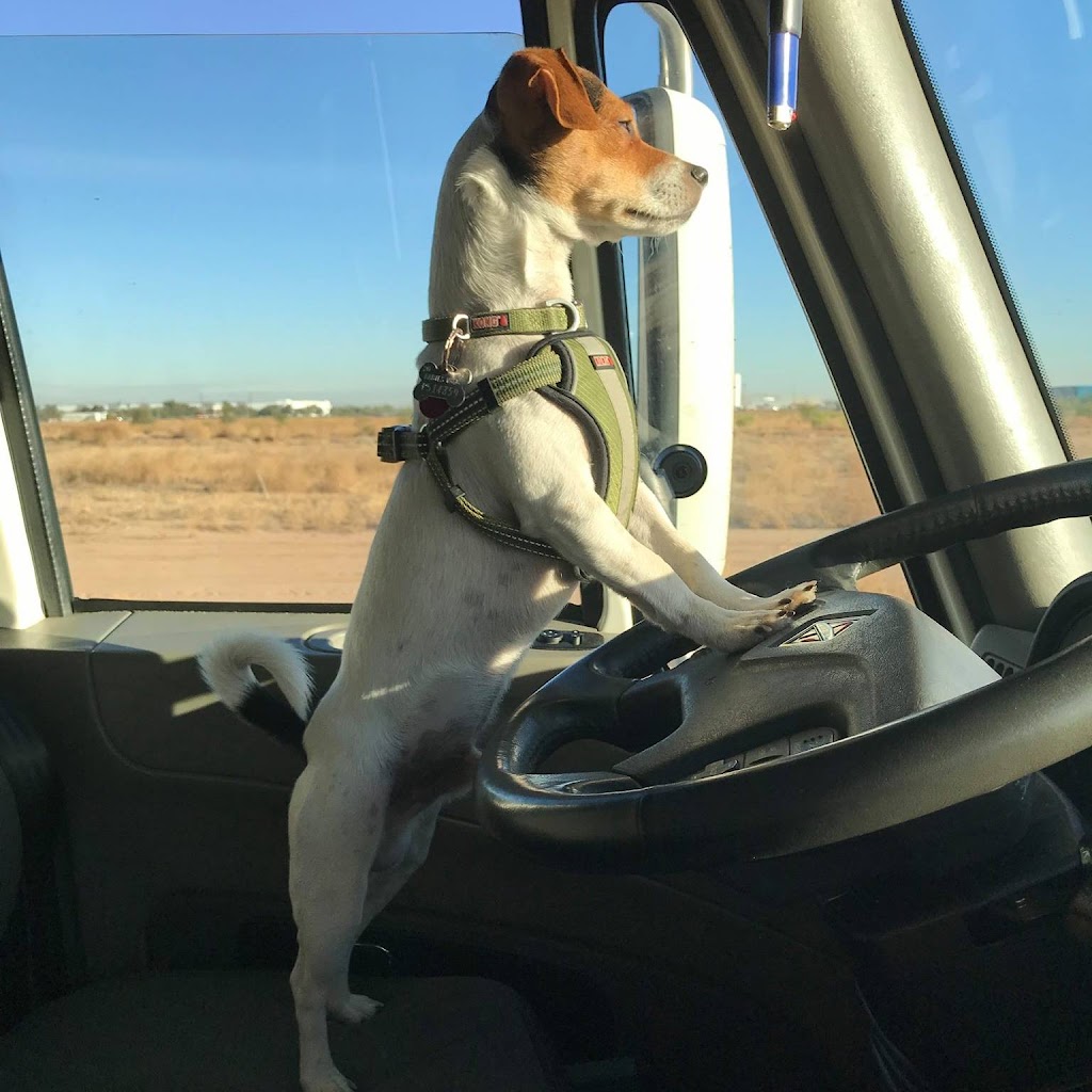 Red D Transport | 3055 Lewis Ave Unit 6, Ida, MI 48140, USA | Phone: (734) 269-9999