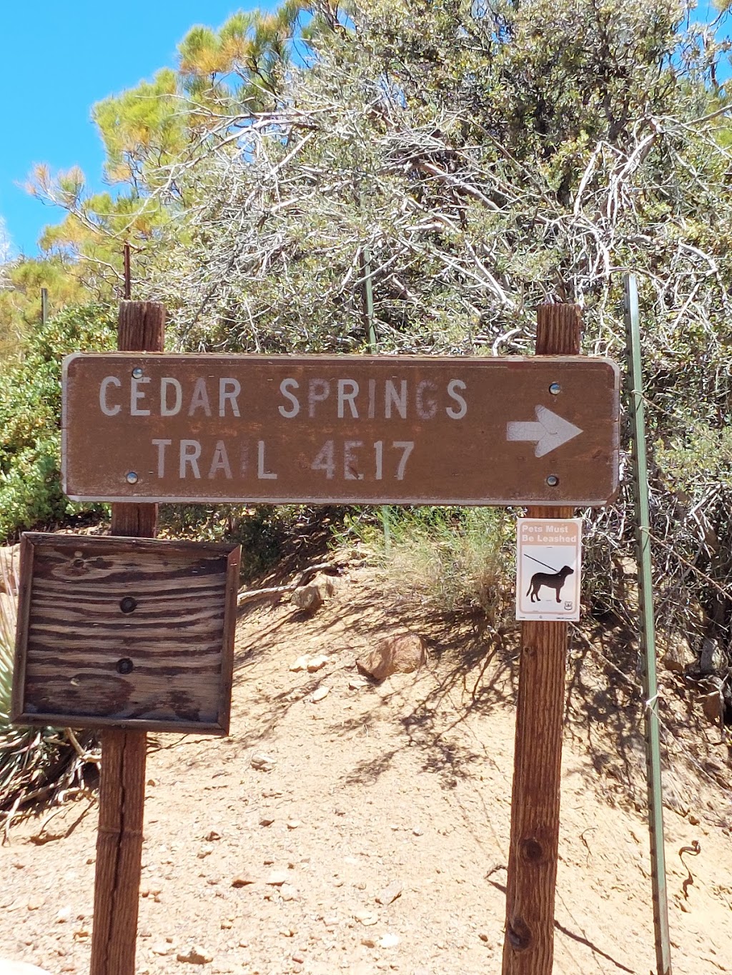 Cedar Springs Trail 4E17 | Morris Ranch Rd, Mountain Center, CA 92561, USA | Phone: (909) 382-2921