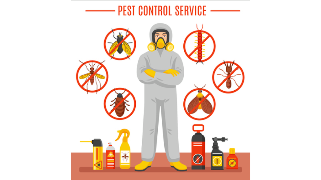 Dungeness Pest Control | 291 3rd St, Port Hadlock-Irondale, WA 98339, USA | Phone: (360) 207-2433