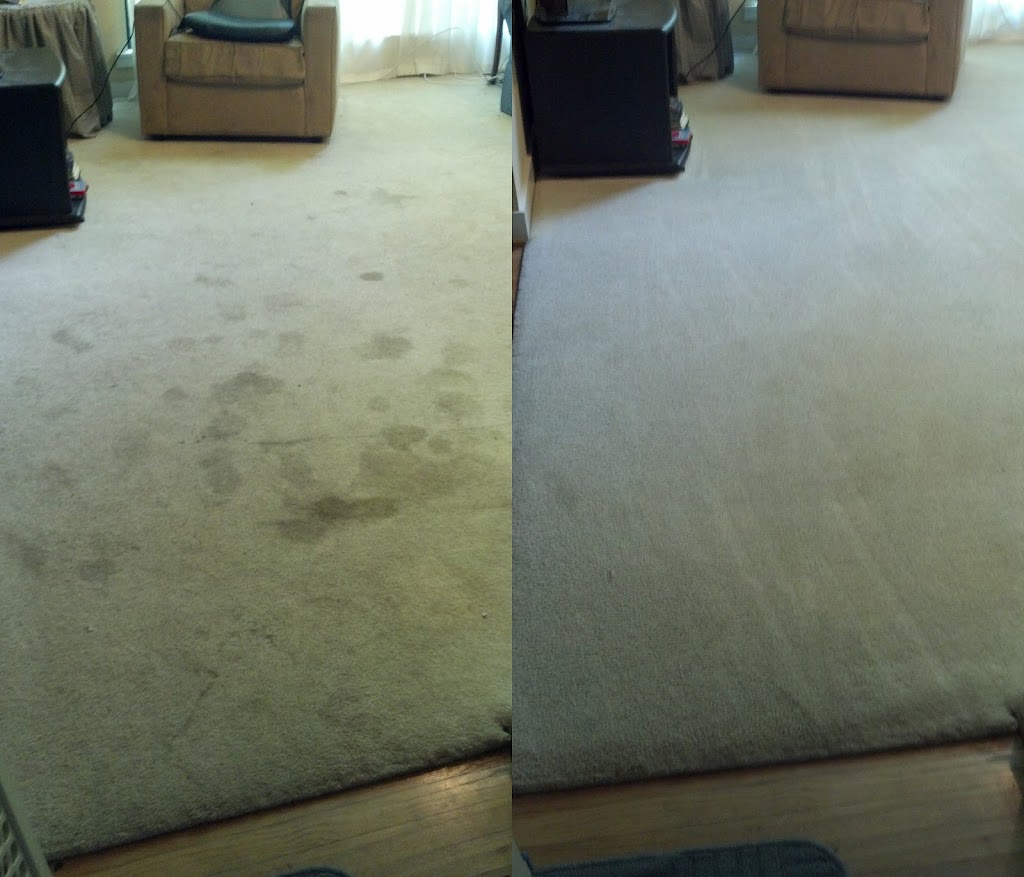 Citrus Carpet Cleaning Dacula | 682 River Cove Ct NE, Dacula, GA 30019 | Phone: (470) 252-2307