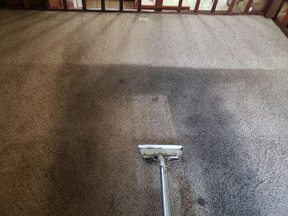 Steves Carpet Care | 7657 W 111th Ave, Westminster, CO 80021, USA | Phone: (303) 530-4900