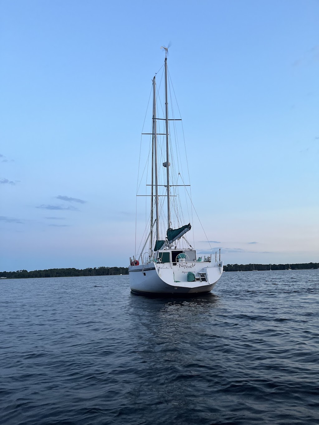 Nepenthe Charter Sailing | 106 Walnut St, Green Cove Springs, FL 32043, USA | Phone: (904) 525-9996