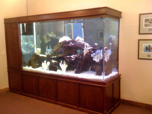 Advanced Aquarium Services | 18451 152nd Ave N, Dayton, MN 55327, USA | Phone: (612) 382-0622