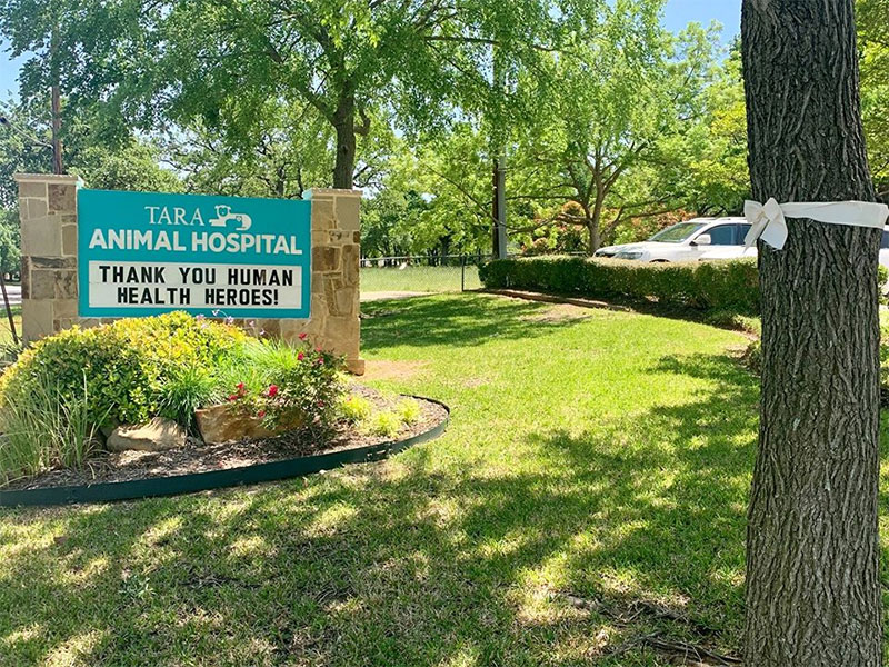 Tara Animal Hospital | 611 Cheek-Sparger Rd, Colleyville, TX 76034, USA | Phone: (817) 656-3300