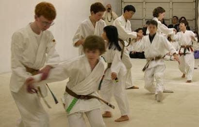 Aikido Academy For Children | 8708 196th Ave NE, Redmond, WA 98053, USA | Phone: (425) 882-9934