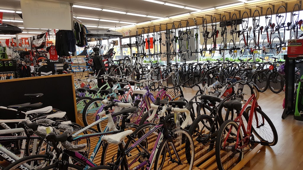 Mineola Bicycle, Fitness & Mower | 475 Jericho Turnpike, Mineola, NY 11501, USA | Phone: (516) 742-5253