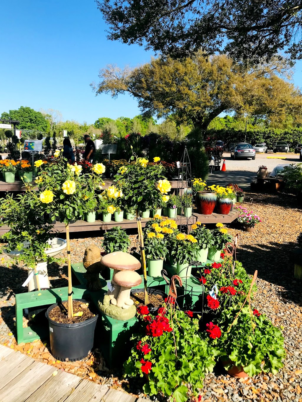 Kerbys Nursery & Landscaping | 2311 S Parsons Ave, Seffner, FL 33584, USA | Phone: (813) 685-3265