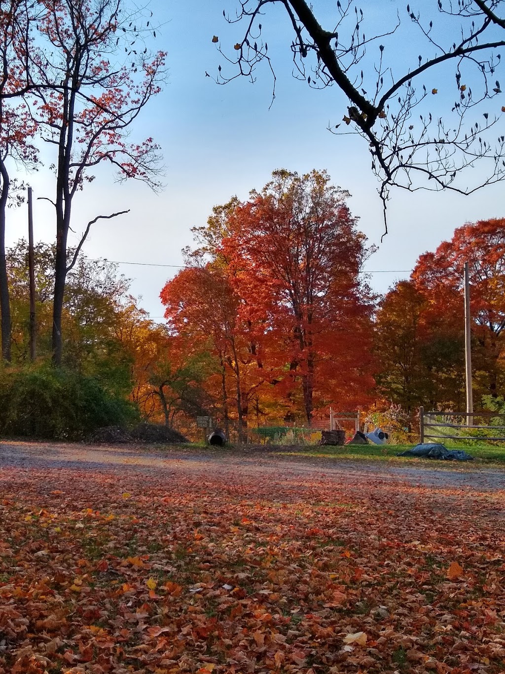 Penn Forest Natural Burial Park | 121 Colorado St, Verona, PA 15147 Mail:, 227 Kansas St, Verona, PA 15147, USA | Phone: (412) 265-4606