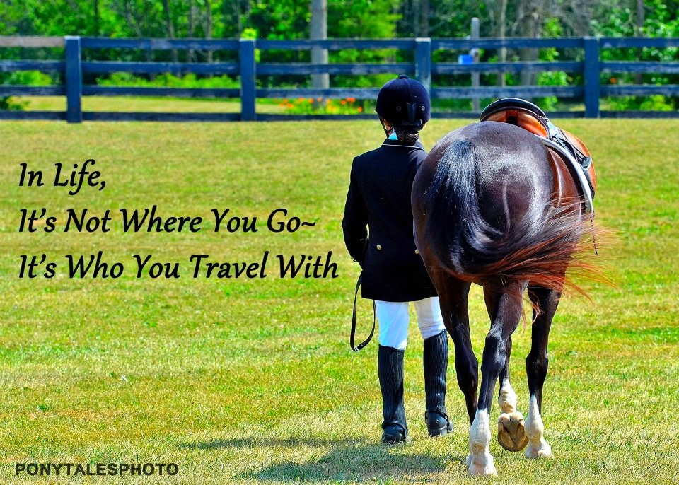 Justamere Equestrian Centre | 56295 Card Rd, Macomb, MI 48042, USA | Phone: (586) 295-1313