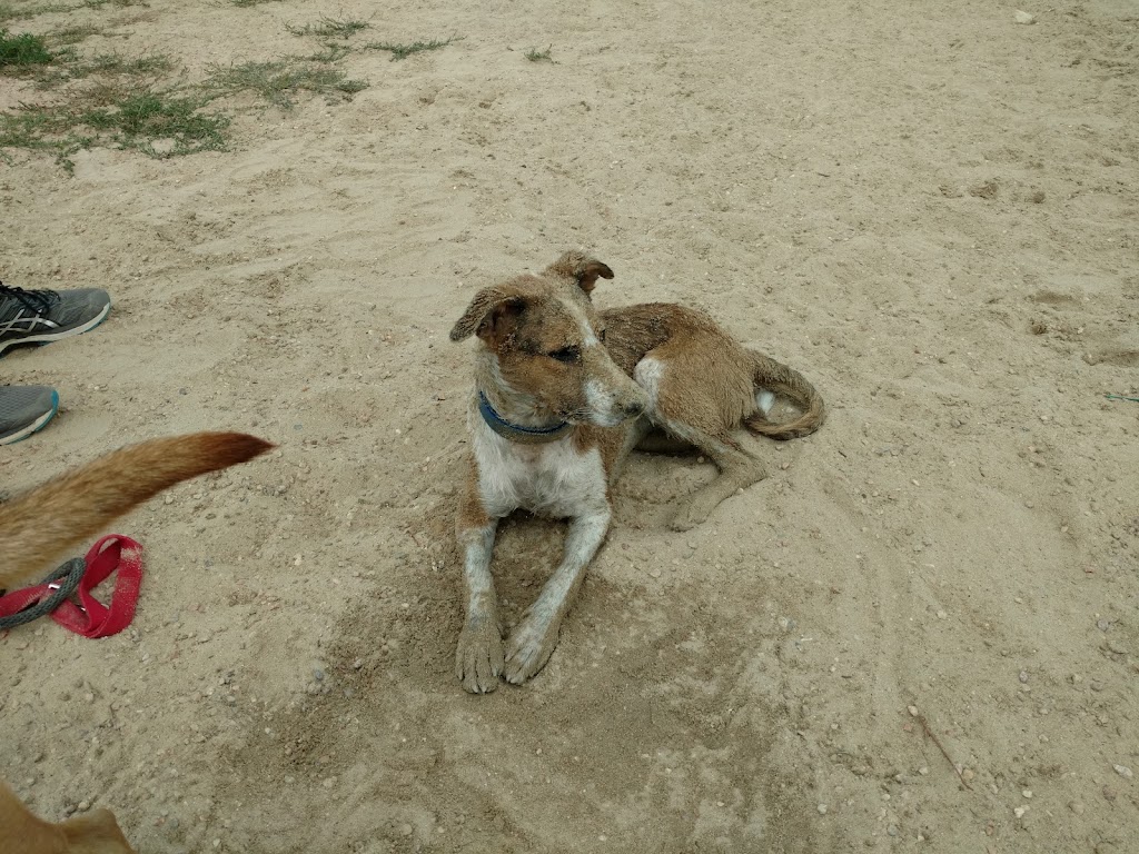 Happy Tails Dog Park | 1111 Judicial Center Dr, Brighton, CO 80601 | Phone: (303) 655-2054