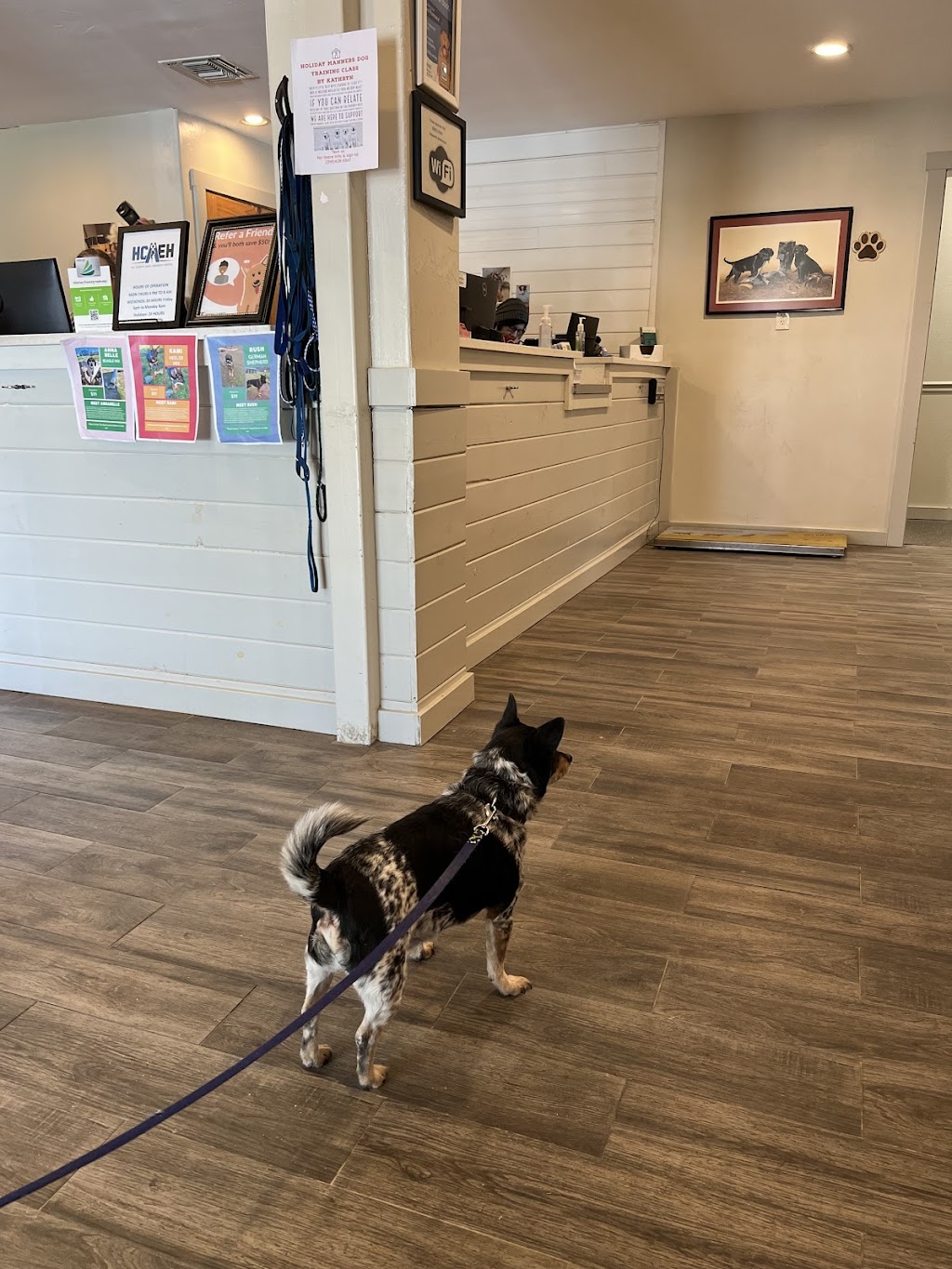 Kendall County Veterinary Center | 141 TX-46, Boerne, TX 78006, USA | Phone: (830) 336-2041