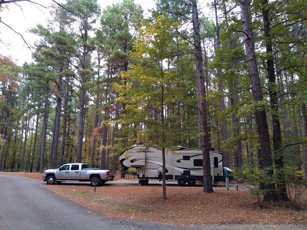 Meeman-Shelby Forest State Park Visitor Center | Meeman-Shelby State Park Visitor Center, 910 Riddick Rd, Millington, TN 38053, USA | Phone: (901) 876-5215