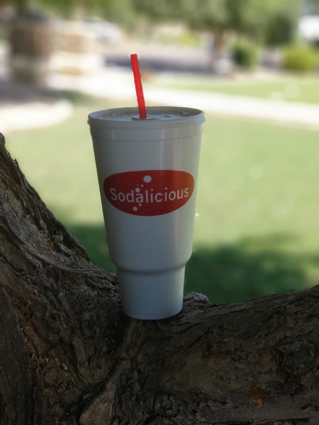 Sodalicious | 20850 E Heritage, Queen Creek, AZ 85142 | Phone: (480) 361-6069