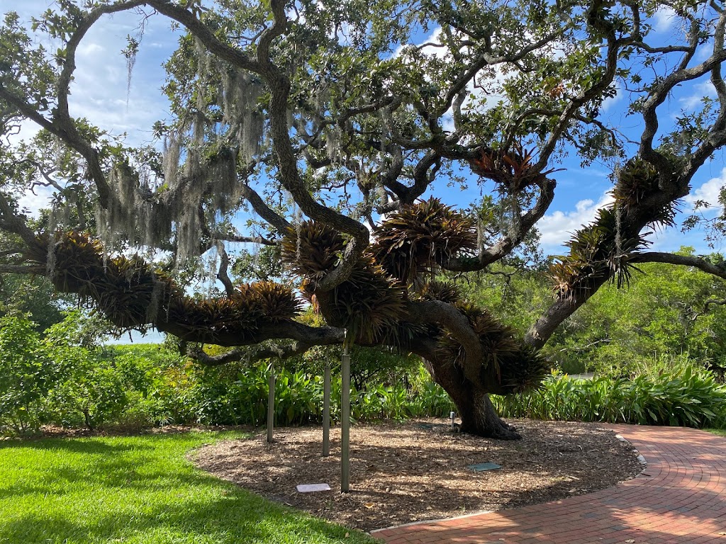 Marie Selby Botanical Gardens Downtown Sarasota campus | 1534 Mound St, Sarasota, FL 34236, USA | Phone: (941) 366-5731