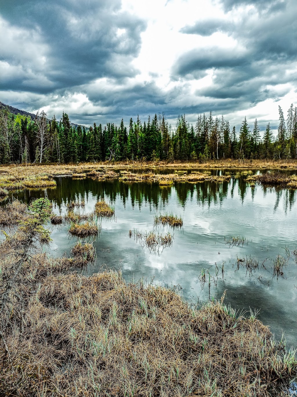 Briggs Bridge | Lower Eagle River Trail, Eagle River, AK 99577, USA | Phone: (907) 345-5014