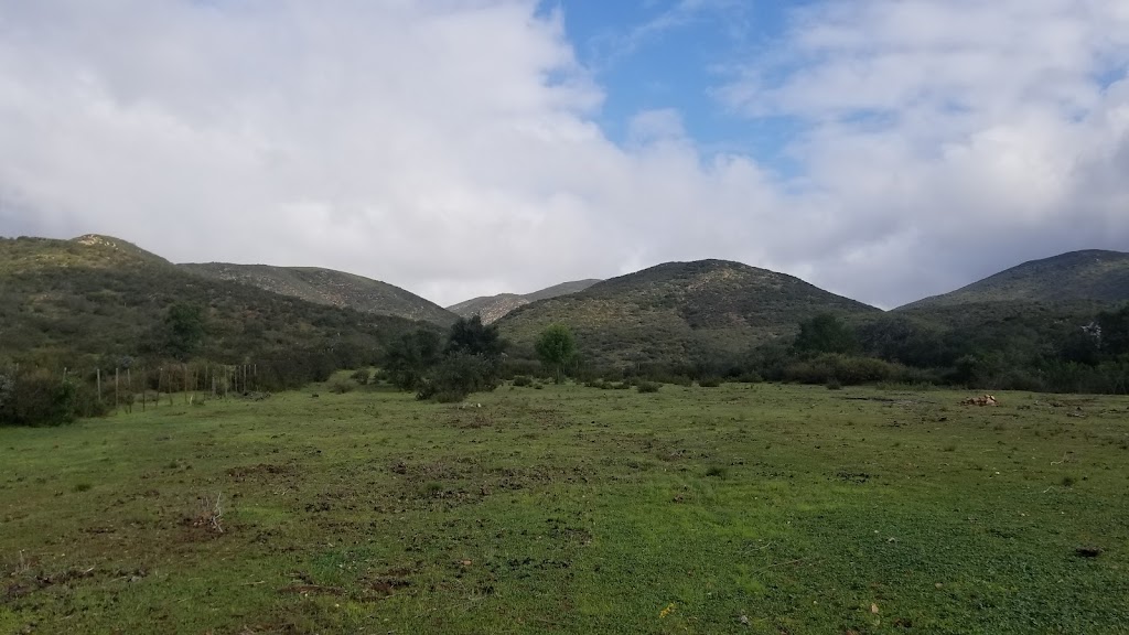 Hacienda El Capricho | C. El Camino Real 1, 22701 El Gato, B.C., Mexico | Phone: (619) 254-6730