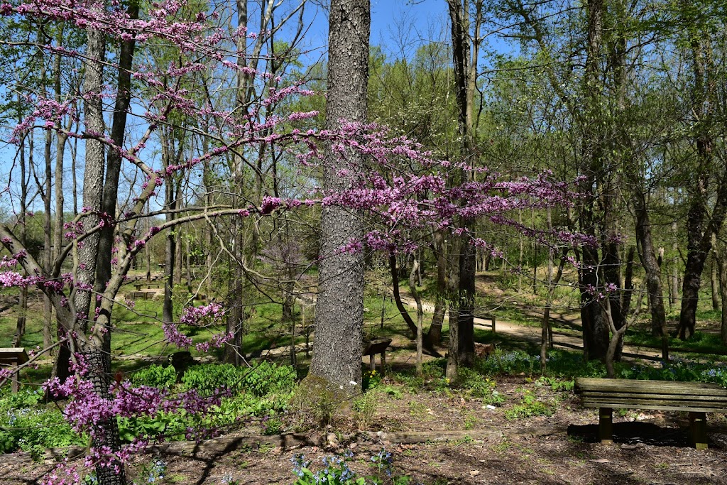 Creasey Mahan Nature Preserve | 12501 Harmony Landing Rd, Goshen, KY 40026, USA | Phone: (502) 228-4362