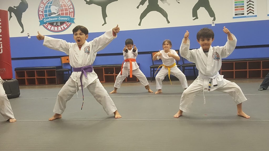 Johns Creek Martial Arts | 3630 Peachtree Pkwy #105, Suwanee, GA 30024, USA | Phone: (678) 871-7761