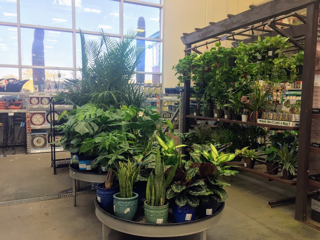 Lowes Garden Center | 700 S Watson Rd, Buckeye, AZ 85326, USA | Phone: (623) 474-5015