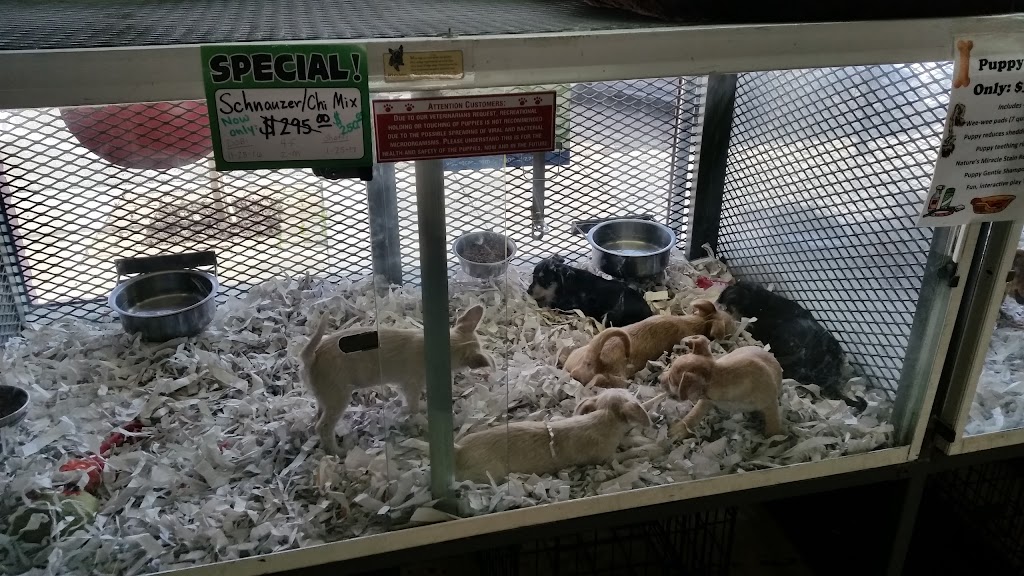 Animal House Pet Shop | 333 Fox St, Lemoore, CA 93245, USA | Phone: (559) 924-9472