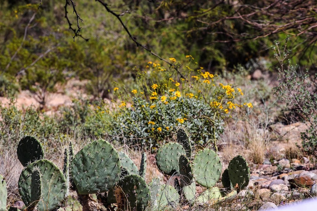 Sam Lena Recreation Area | 3400 S Country Club Rd, Tucson, AZ 85713, USA | Phone: (520) 434-1339