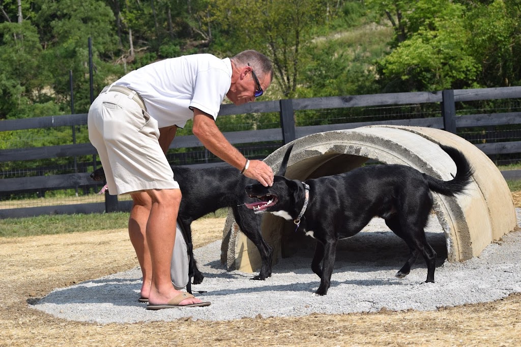 Canal Run Dog Park: Membership Required | 550 S Main St, Miamisburg, OH 45342, USA | Phone: (937) 866-8999