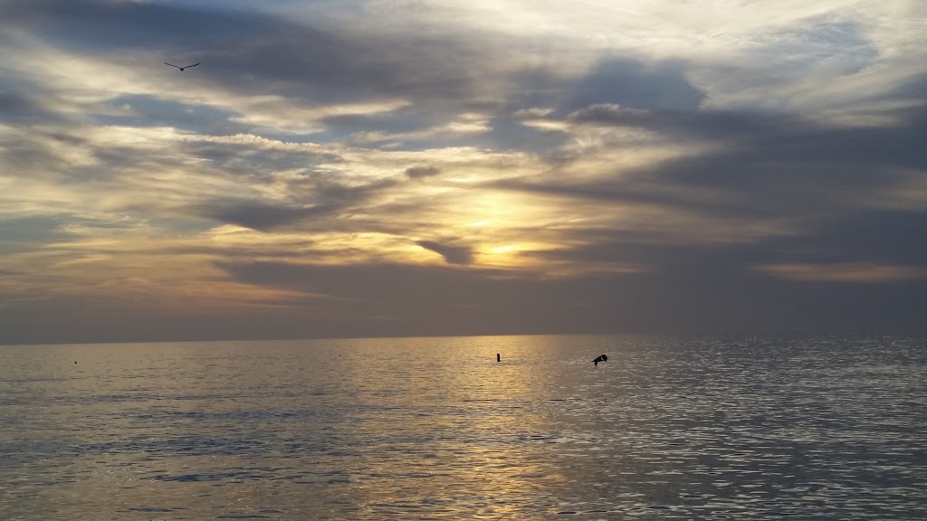 Sunset Cove At Holmes Beach | 3302 Gulf Dr, Holmes Beach, FL 34217, USA | Phone: (941) 779-9355