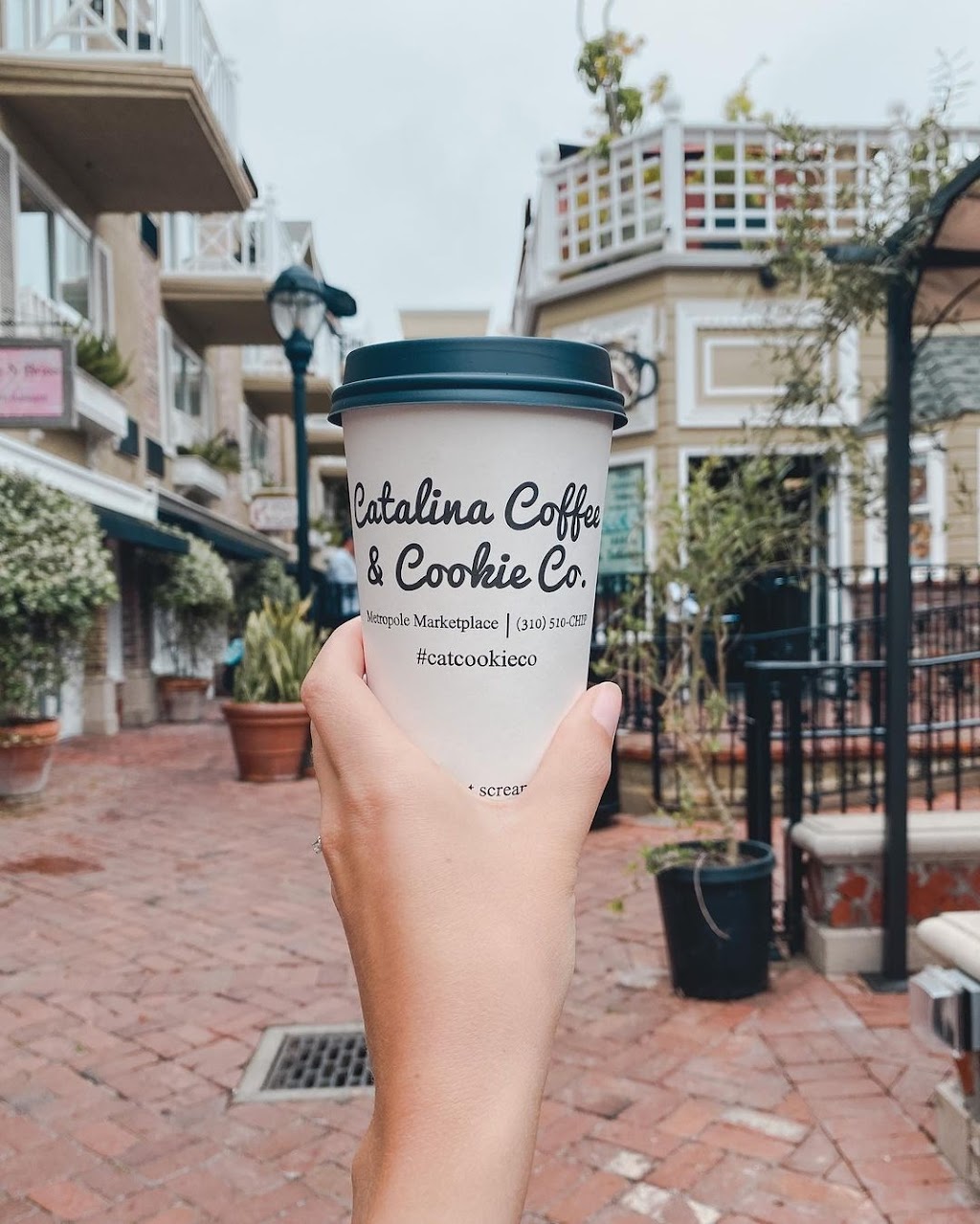 Catalina Coffee & Cookie Co | 205 Crescent Ave, Avalon, CA 90704, USA | Phone: (310) 510-2447