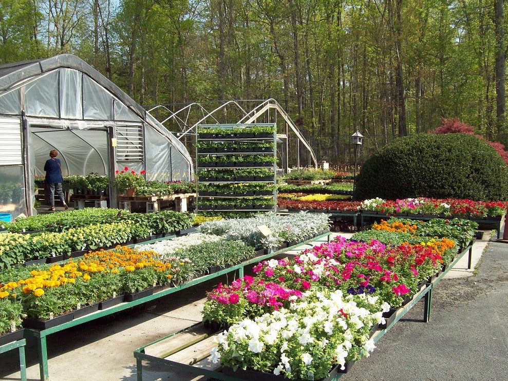 Northside Garden Center | 950 Peachtree Industrial Blvd, Buford, GA 30518, USA | Phone: (770) 932-1244