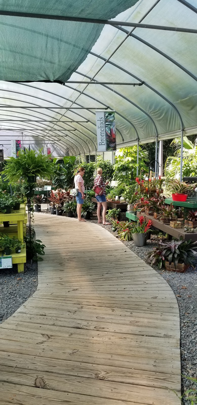 Kerbys Nursery & Landscaping | 2311 S Parsons Ave, Seffner, FL 33584, USA | Phone: (813) 685-3265