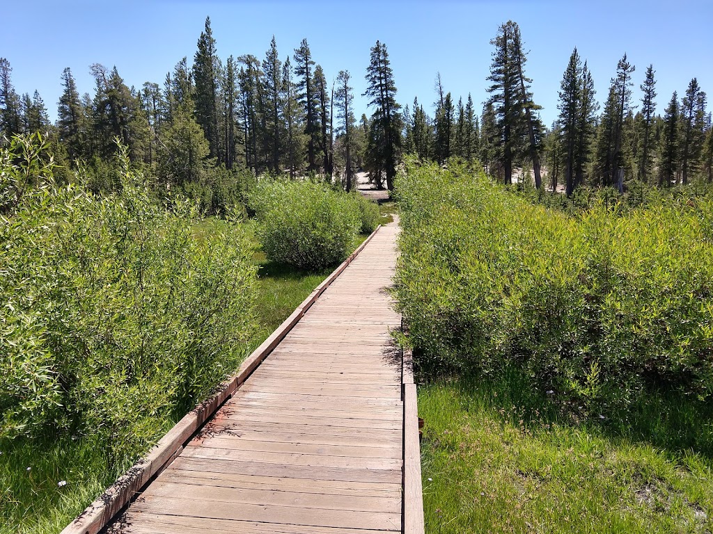 Tahoe Meadows Tahoe Rim Trail Trailhead - park  | Photo 2 of 10 | Address: New Washoe City, NV 89704, USA | Phone: (775) 298-4485