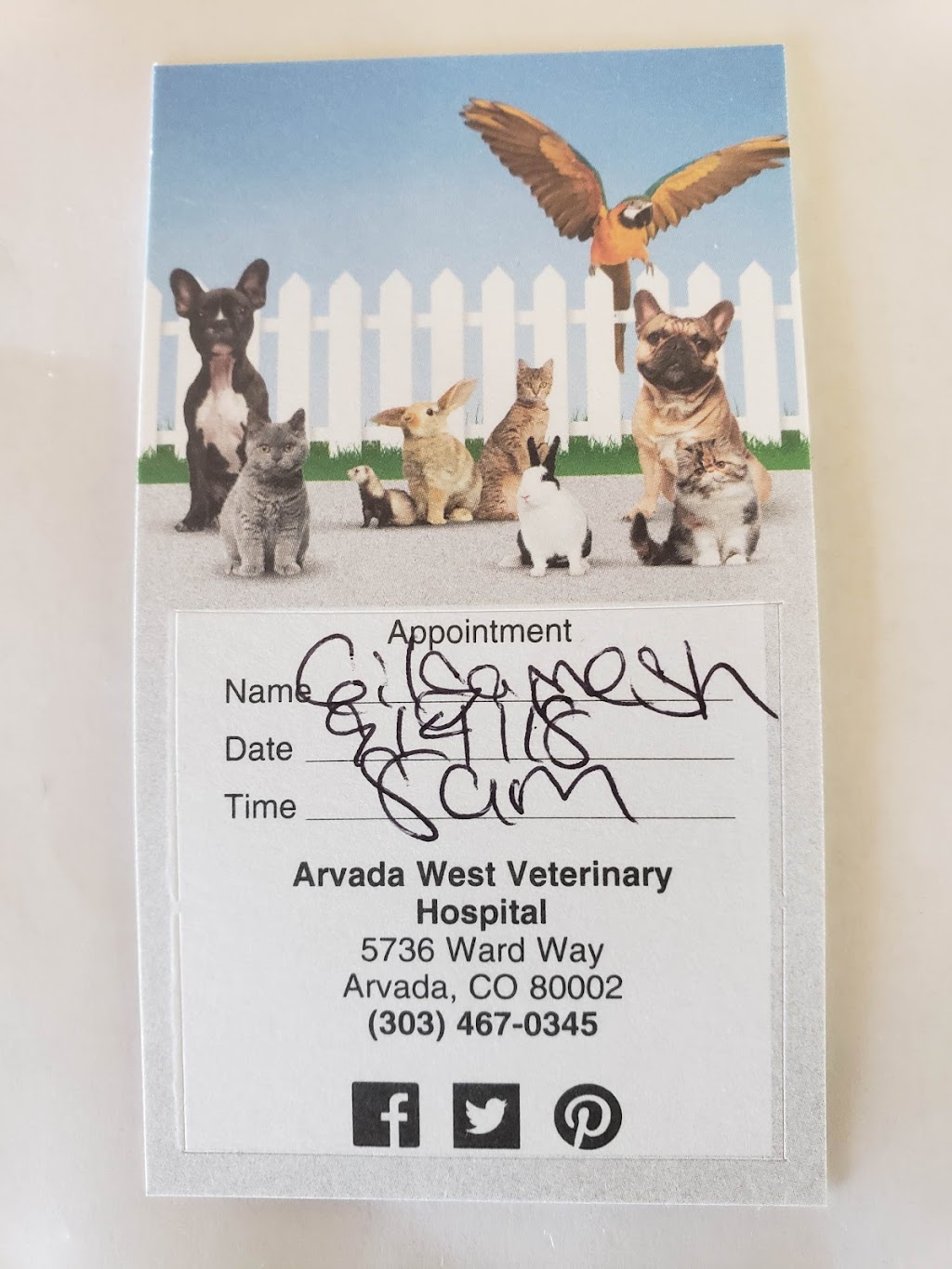Arvada West Veterinary Hospital | 5736 Ward Way, Arvada, CO 80002, USA | Phone: (303) 467-0345