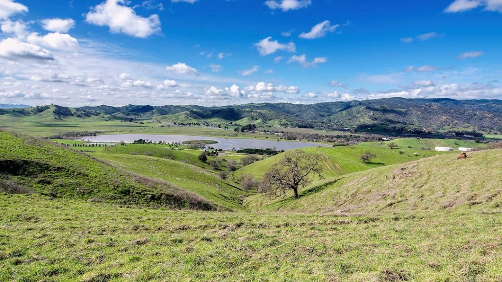 Del Morris Insurance Agency | 1408 W Main St B, Ripon, CA 95366, USA | Phone: (209) 599-0707