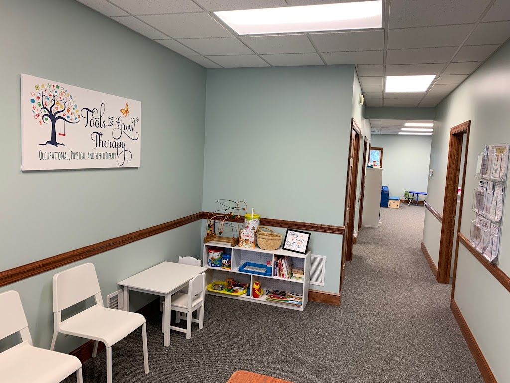 Tools to Grow Occupational, Physical and Speech Therapy | 4535 Southwestern Blvd # 808, Hamburg, NY 14075 | Phone: (716) 725-7163