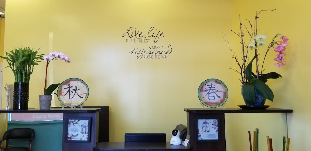 WellBeing Touch Acupuncture | 10674 Riverside Dr, North Hollywood, CA 91602, USA | Phone: (213) 800-3772